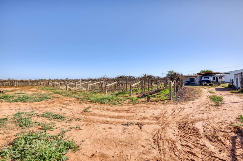 Lot 2 Moonah Street Red Cliffs VIC 3496 - Image 3