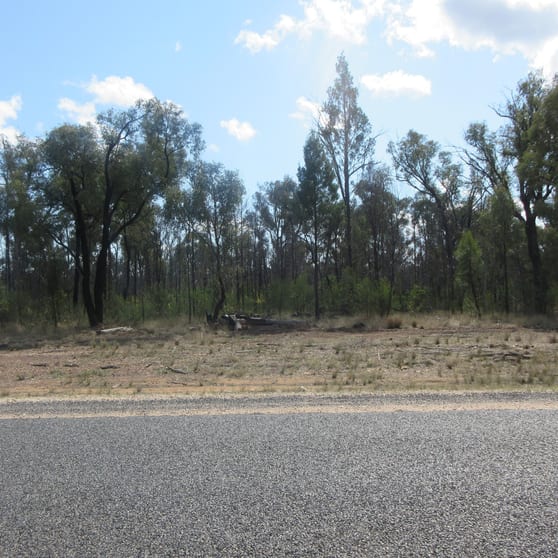 Lot 26 Mary Road Tara QLD 4421 - Image 2