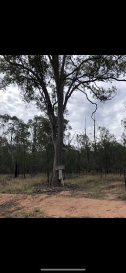 Lot 190 Golden Glow Road Tara QLD 4421 - Image 1