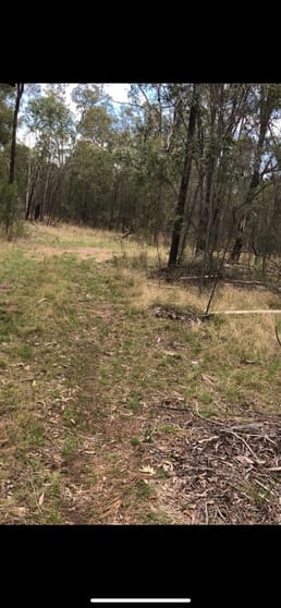 Lot 190 Golden Glow Road Tara QLD 4421 - Image 2