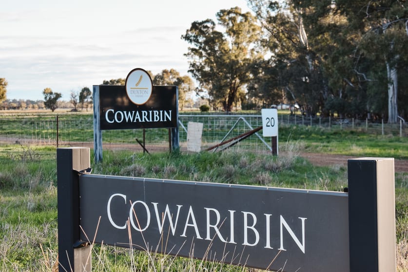 Click to view all images 3671 Lachlan Valley Way Jemalong NSW 2871 - Image 1