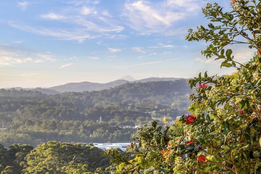 Click to view all images 635 Ilkley Road Ilkley QLD 4554 - Image 3