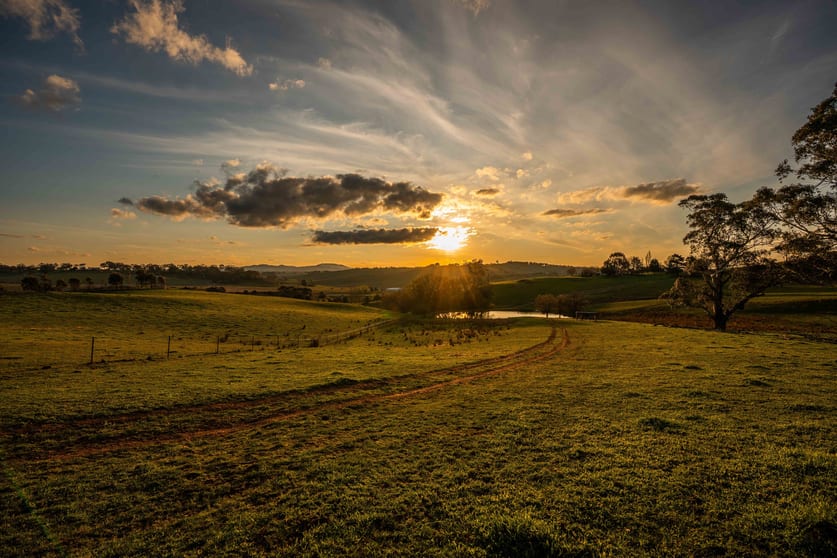 Click to view all images 4800 Mitchell Highway Orange NSW 2800 - Image 2