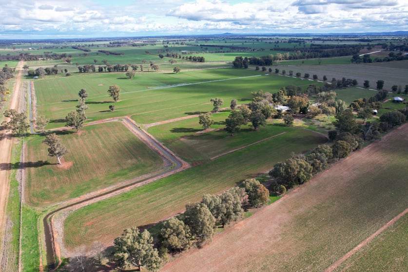 226 Willawang Road Warroo NSW 2871 - Image 1