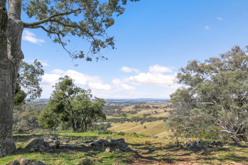 Click to view all images Gulgong NSW 2852 - Image 2