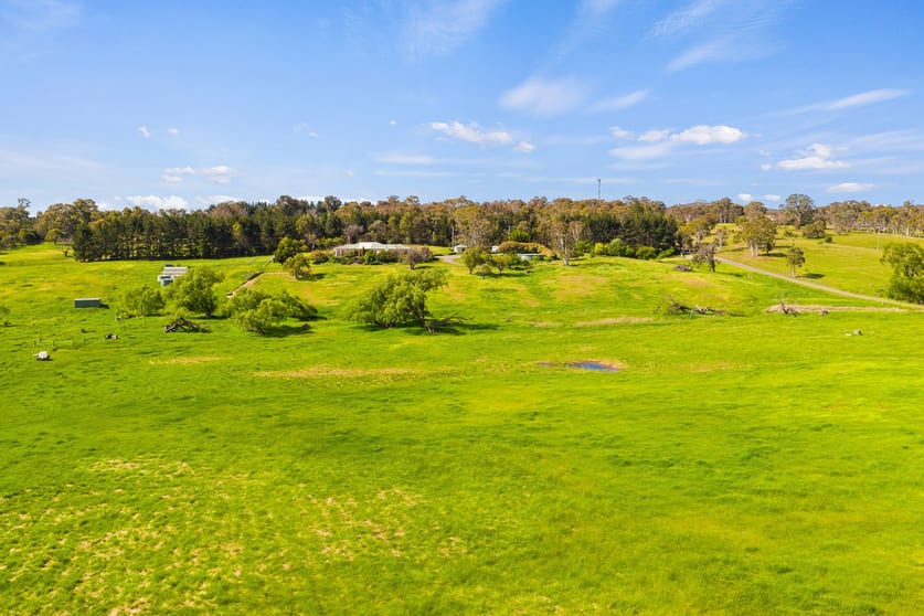17 Marked Tree Road Gundaroo NSW 2620 - Image 3