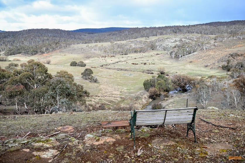 Click to view all images "Alumdale" 808 Jones Plain Road Shannons Flat NSW 2630 - Image 2