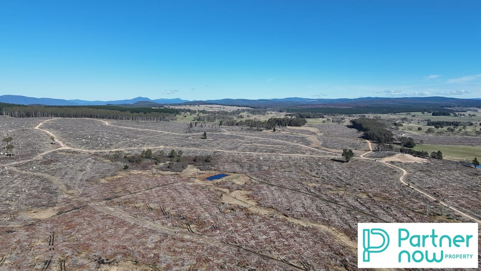 Paddy's Flat Monaro Highway Bombala NSW 2632 - Image 3