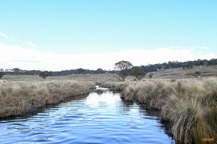 Click to view all images "Moles Station" 248 Hains Road Kybeyan NSW 2631 - Image 1