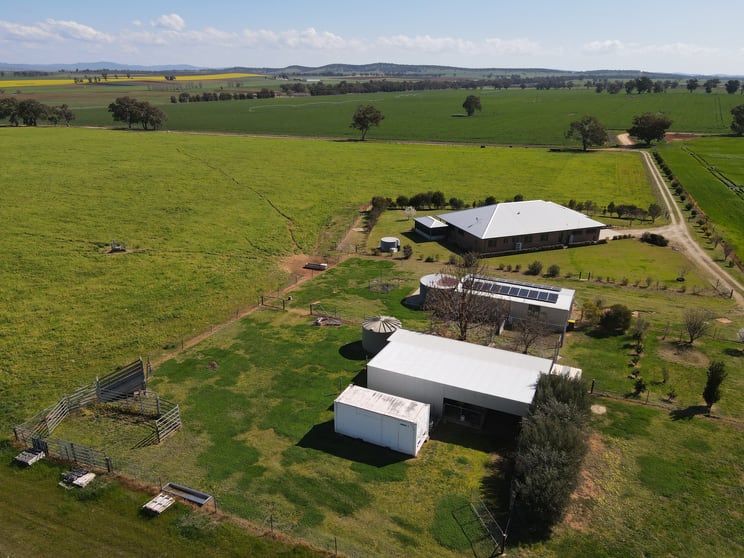 56 Leneva Lane Canowindra NSW 2804 - Image 2
