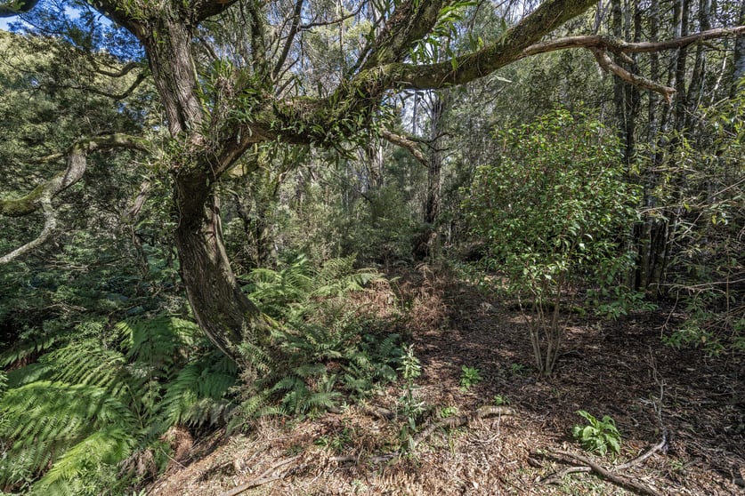 Click to view all images . Meunna Road Meunna TAS 7325 - Image 2