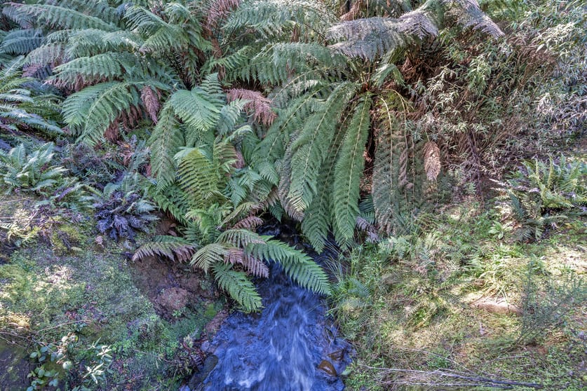 Click to view all images . Meunna Road Meunna TAS 7325 - Image 3