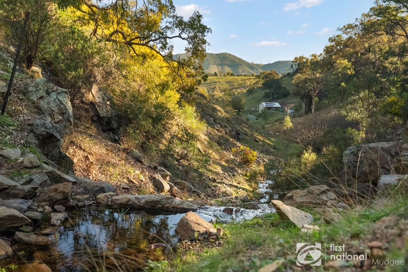 Click to view all images 211 Riverlea Road (Riverlea) Mudgee NSW 2850 - Image 1
