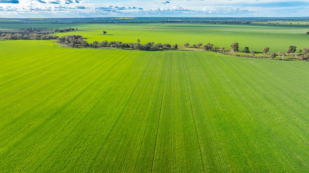 Click to view all images 1250 Barracluffs Road Bidgeemia NSW 2642 - Image 1