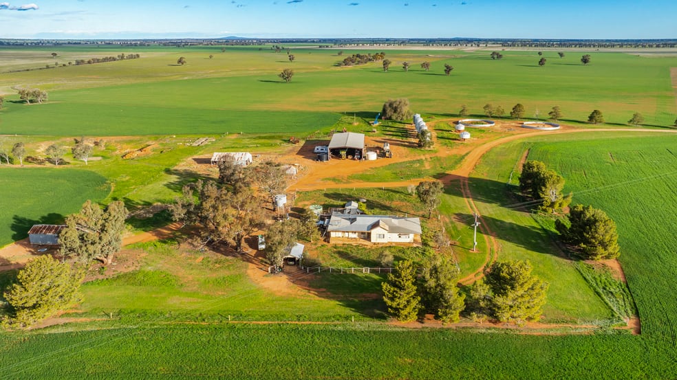 Click to view all images 1250 Barracluffs Road Bidgeemia NSW 2642 - Image 3