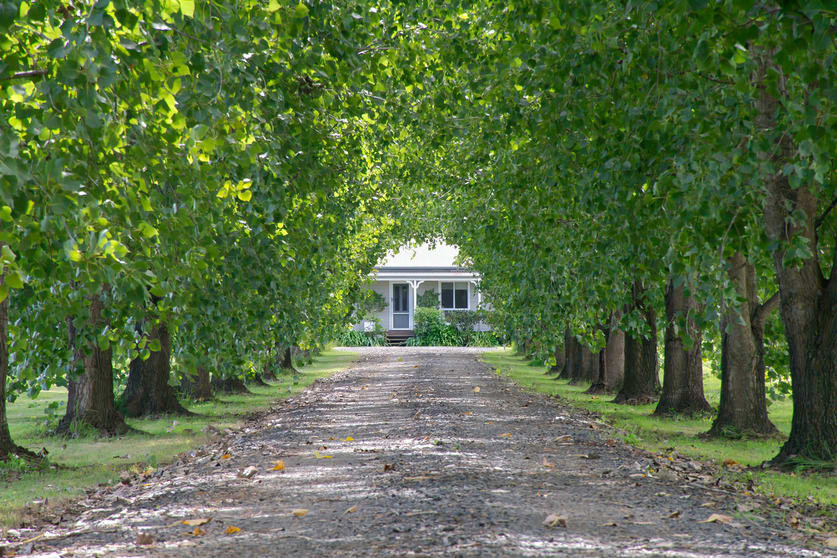 Click to view all images 365 Knights Road Kyogle NSW 2474 - Image 2