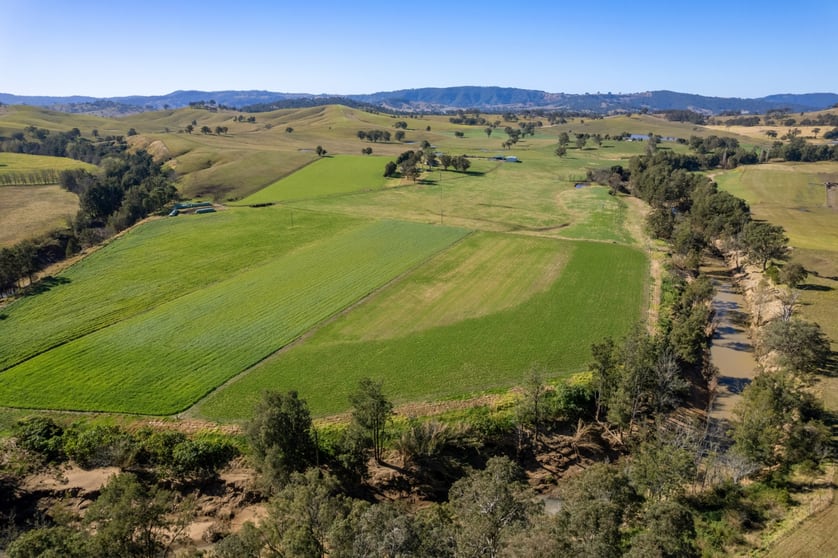 Click to view all images 771 Fishers Hilll Road Fishers Hill NSW 2421 - Image 3