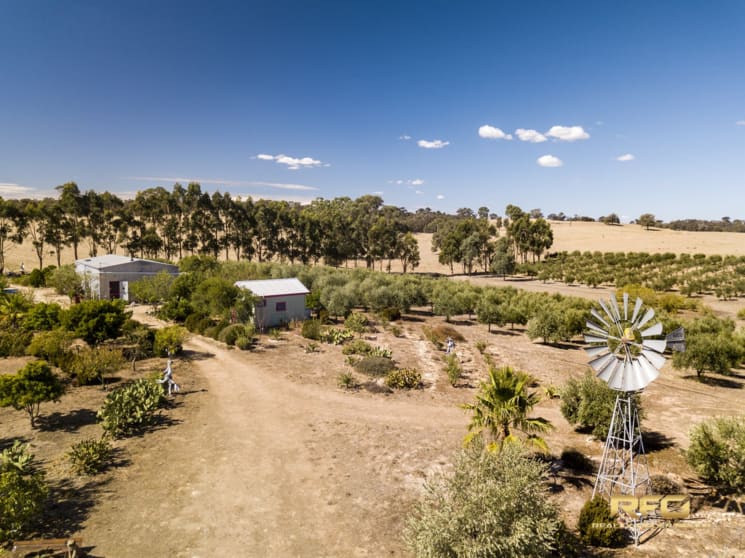 3450 Sunraysia Hwy Stuart Mill VIC 3477 - Image 2