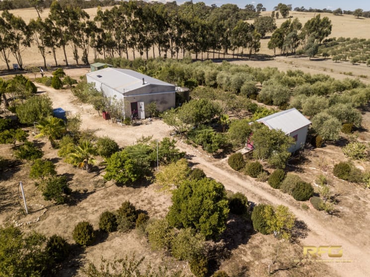 3450 Sunraysia Hwy Stuart Mill VIC 3477 - Image 3