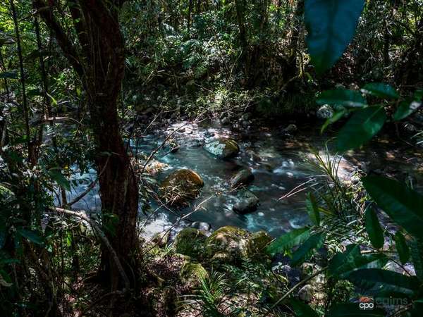 Click to view all images 17 Watson Road Bartle Frere QLD 4861 - Image 3