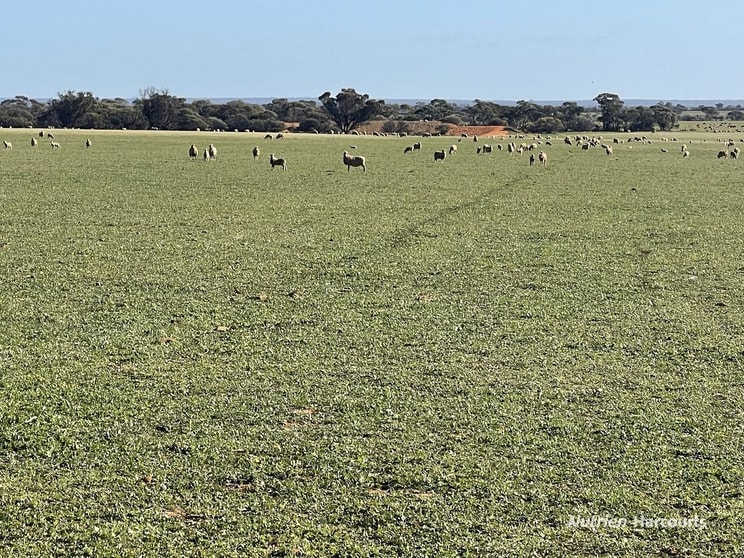2159 Mouroubra Road Beacon WA 6472 - Image 1