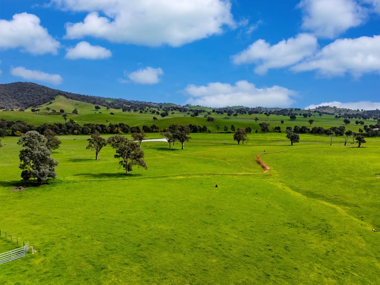 Click to view all images 1701 Adelong Road Gundagai NSW 2722 - Image 2