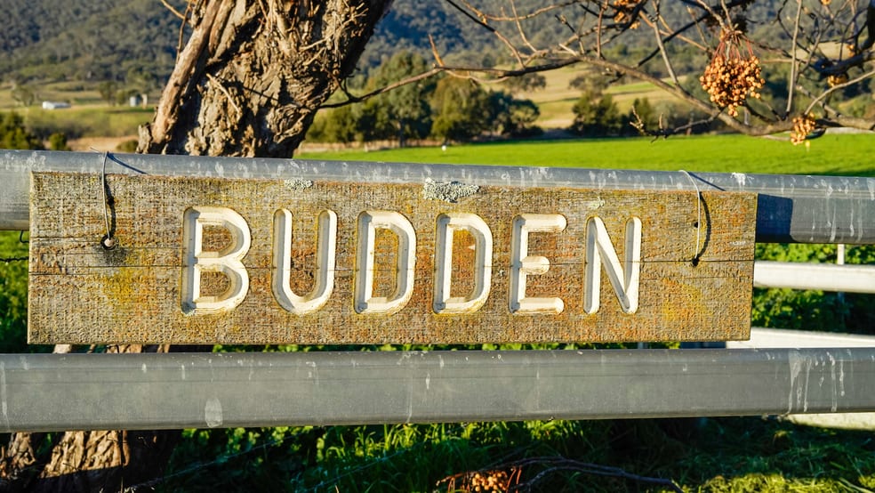 Click to view all images "Budden"/6646 Bylong Valley Way Bylong NSW 2849 - Image 2