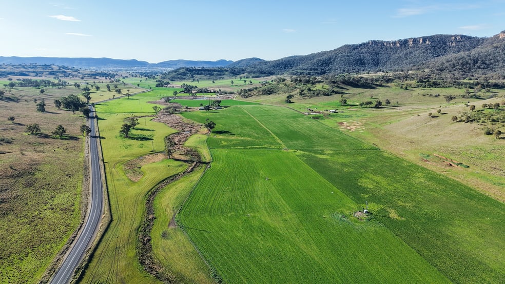 Click to view all images "Budden"/6646 Bylong Valley Way Bylong NSW 2849 - Image 3