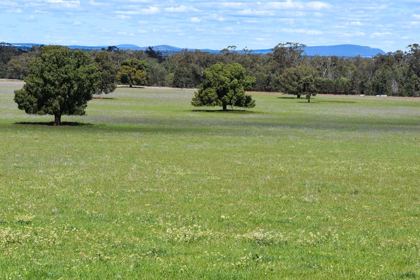 Click to view all images 120 Melrose Plains Road Fifield NSW 2875 - Image 1