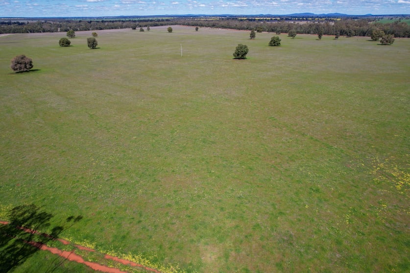 Click to view all images 120 Melrose Plains Road Fifield NSW 2875 - Image 2