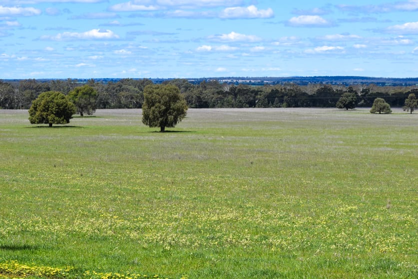 Click to view all images 120 Melrose Plains Road Fifield NSW 2875 - Image 3
