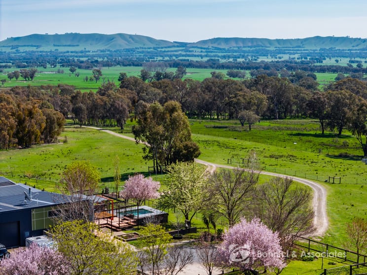 1417 Buckland Gap Road Murmungee VIC 3747 - Image 3