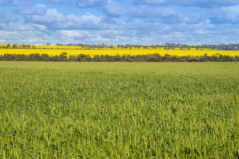 Click to view all images Midlands Road Marchagee WA 6515 - Image 1