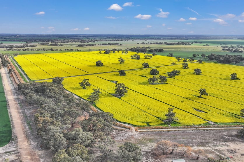 1136 Cobb Highway Deniliquin NSW 2710 - Image 1
