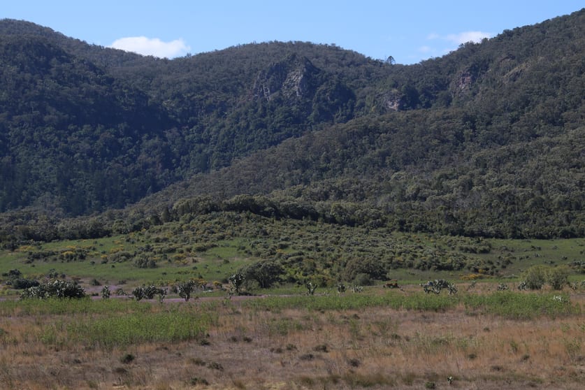 Click to view all images Bunya Mountains QLD 4405 - Image 2