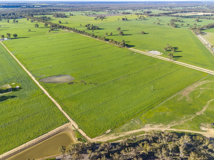 210 Waser Road Strathmerton VIC 3641 - Image 3