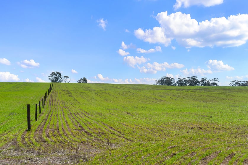 Click to view all images Lot 101 Schobers Road Auburn SA 5451 - Image 2