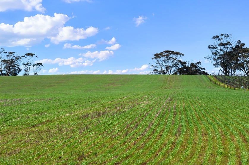 Click to view all images Lot 101 Schobers Road Auburn SA 5451 - Image 3