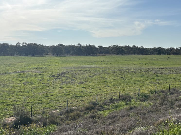 Click to view all images 51-57 Tottenham Road Nyngan NSW 2825 - Image 2