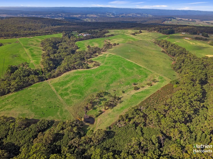 Lot 2/1432 Princetown Road Cooriemungle VIC 3268 - Image 2