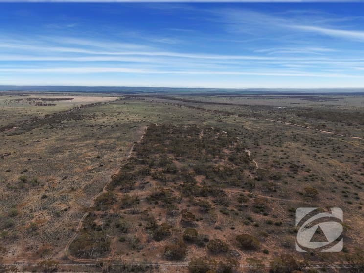 1932 Moorundie Road Sandleton SA 5356 - Image 2