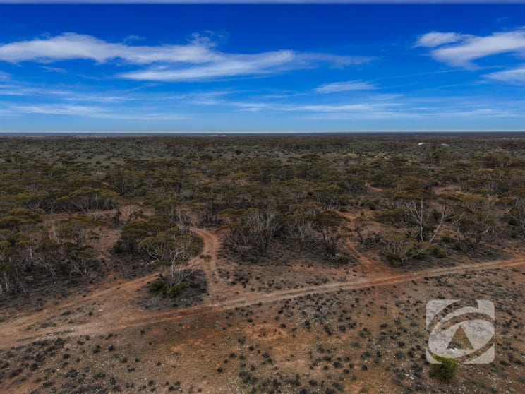 1932 Moorundie Road Sandleton SA 5356 - Image 3