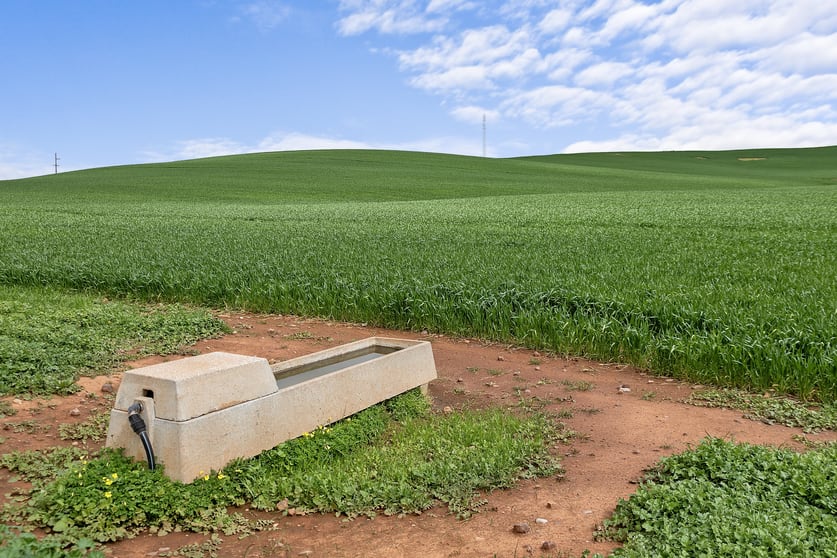 'Stone Hut' Halls Road Wirrabara SA 5481 - Image 2