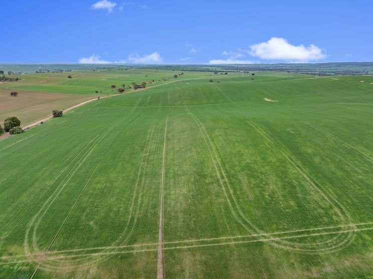 'Stone Hut' Halls Road Wirrabara SA 5481 - Image 3