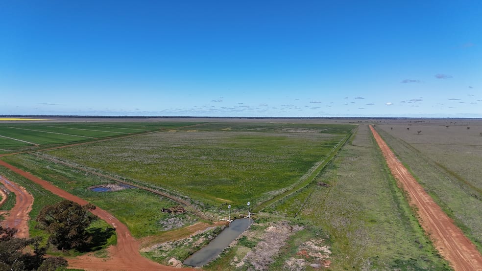75 Leonard Road Coleambally NSW 2707 - Image 1
