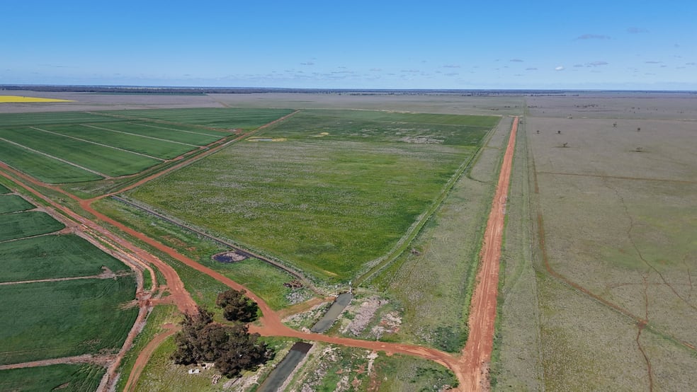 75 Leonard Road Coleambally NSW 2707 - Image 3