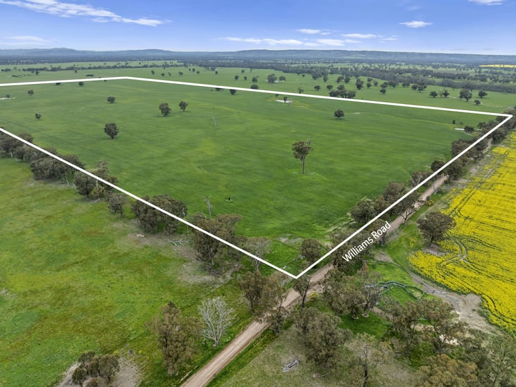 Click to view all images Williams Road Nagambie VIC 3608 - Image 2