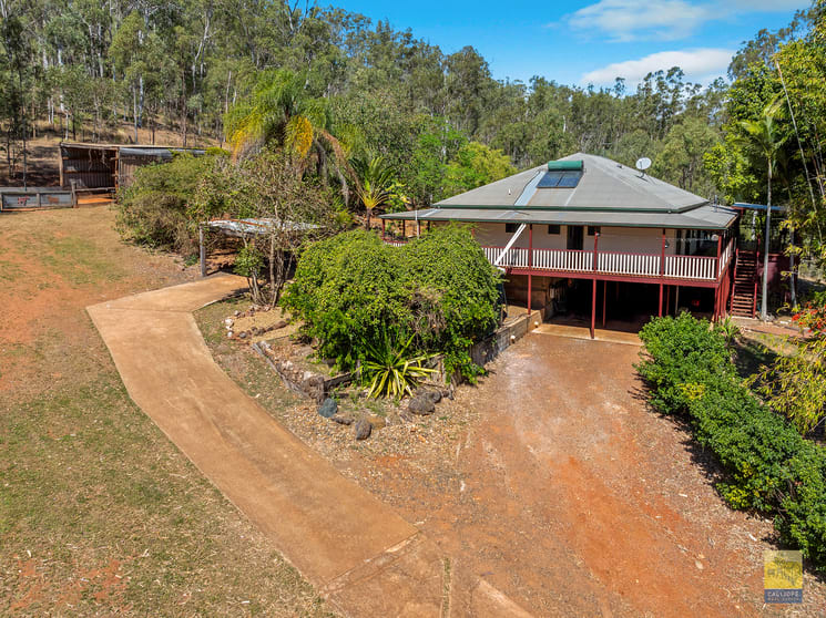 Click to view all images 622 Calliope River Road West Stowe QLD 4680 - Image 3