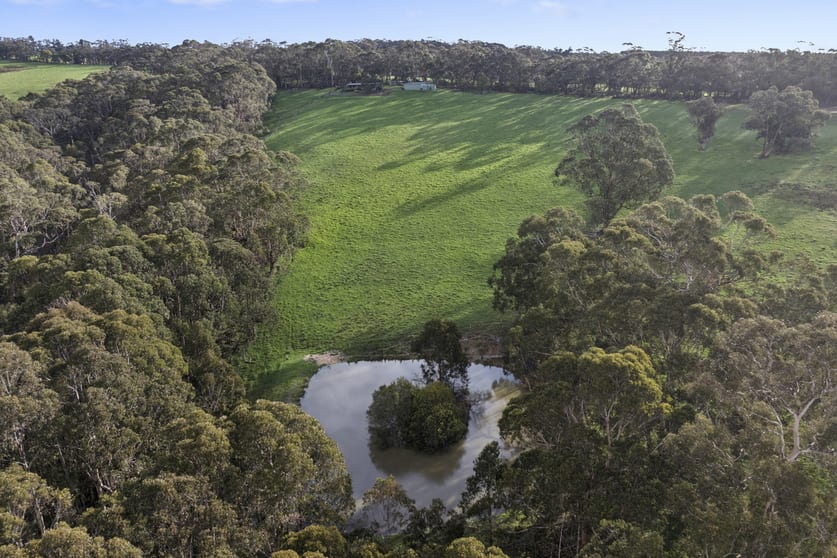 90 Jinda Park Lane Bambra VIC 3241 - Image 3