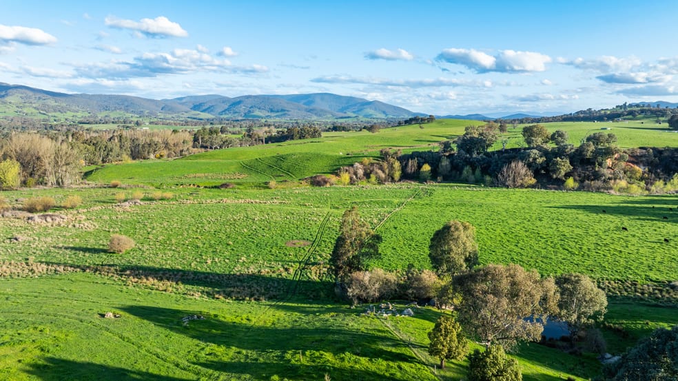 Click to view all images 1317 Wodonga-Yackandandah Road Yackandandah VIC 3749 - Image 1